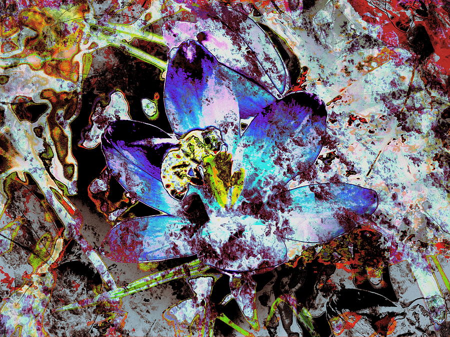 Flowers Still Life Digital Art - Bee on Flower by Cliff Wilson
