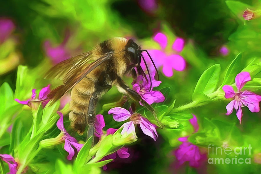 Bee On Pink Flowers Photograph by Kathy Baccari