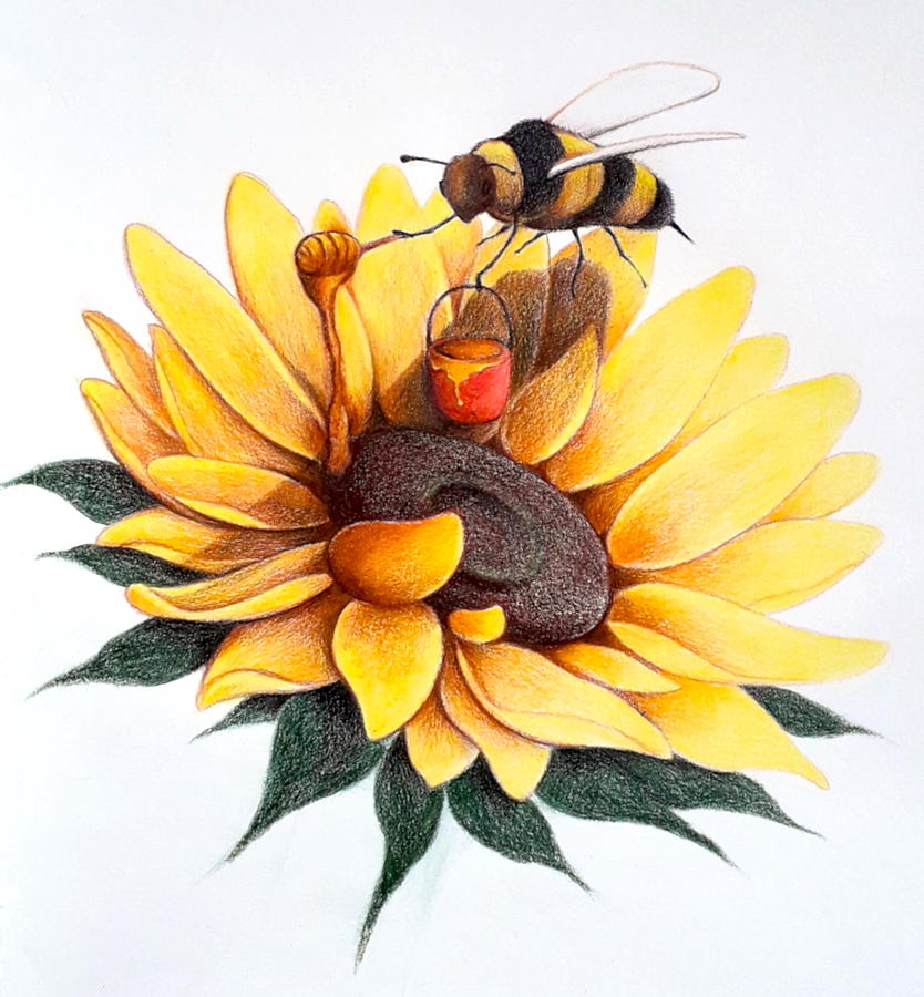 Bee Painting Sunflower Drawing by Amani Warrington Pixels
