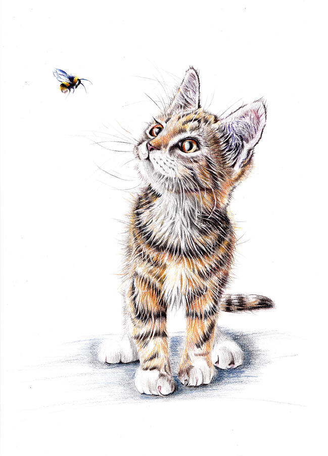 Cat Painting - Bee Rapt - little kitten by Debra Hall