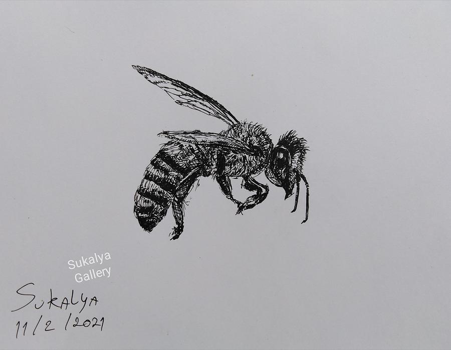 Bee Drawing by Sukalya Chearanantana