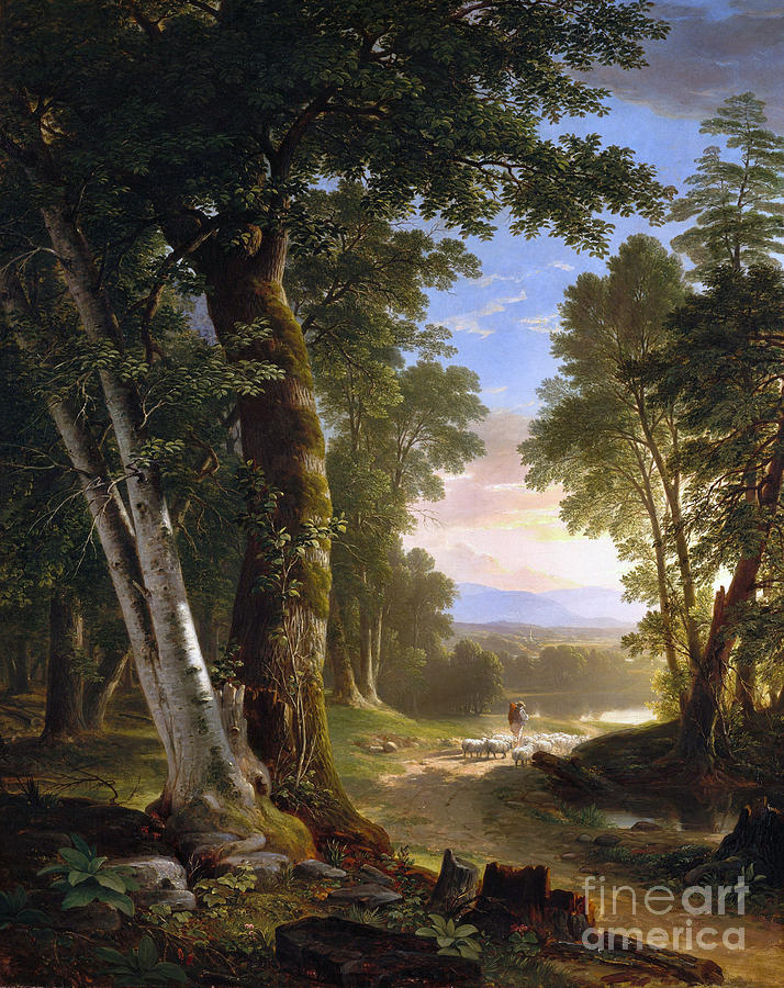 Beeches, 1845 Painting by Asher Brown Durand