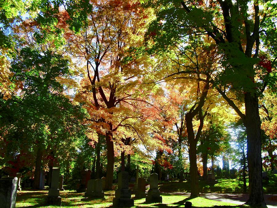 Beechwood Cemetery Photograph by Stephanie Moore