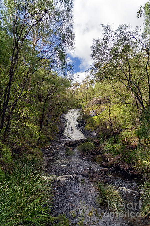 Beedelup Falls, Pemberton, Western Australia #2 Photograph by Elaine Teague