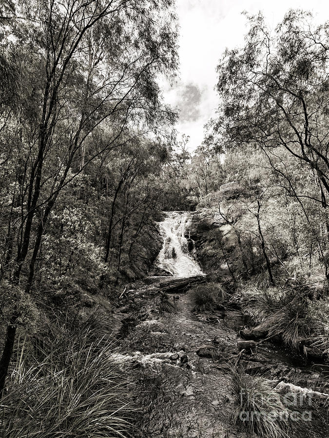 Beedelup Falls, Pemberton, Western Australia #3 Photograph by Elaine Teague