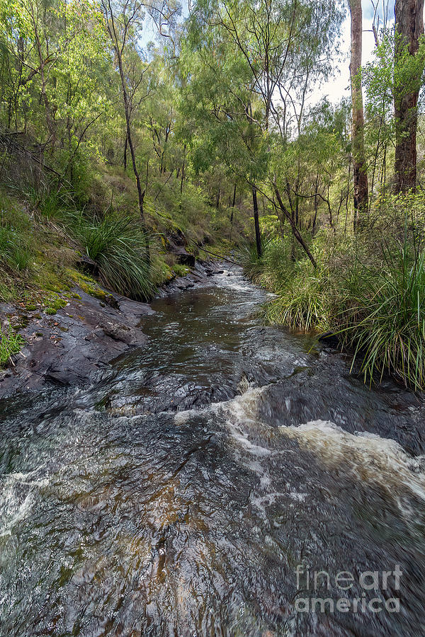 Beedelup Falls, Pemberton, Western Australia Photograph by Elaine Teague