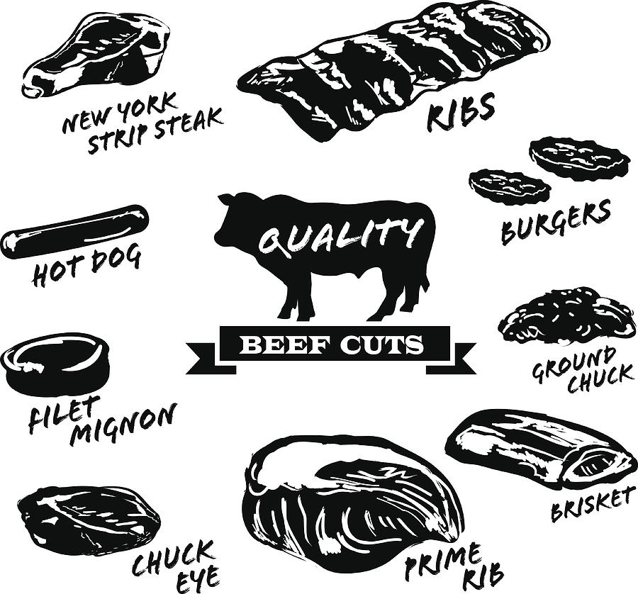 Beef cuts with text on white background Drawing by JDawnInk