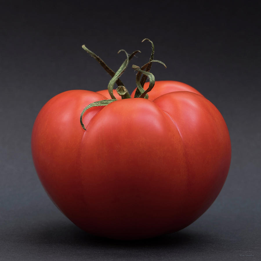 Beef Tomato Photograph by Wim Lanclus