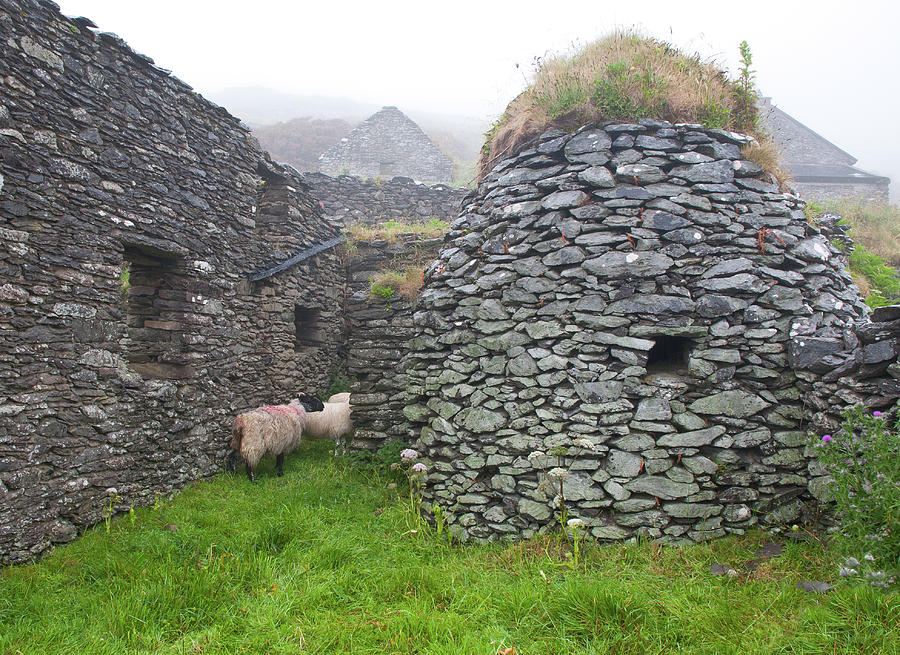 Beehive Huts - Dingle, Ireland Photograph by Denise Strahm