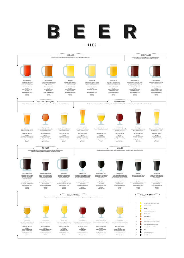 Beer types - Ales Digital Art by Dennson Creative - Fine Art America