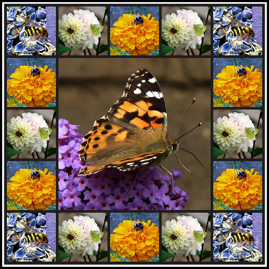 Butterfly Photograph - Bees and Butterlies Collage by Kathryn Jones