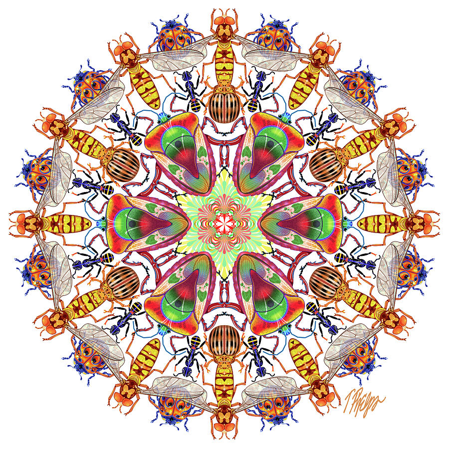 Ladybug Digital Art - Beetle and Bug Collection Mandala Nature Mandala by Tim Phelps