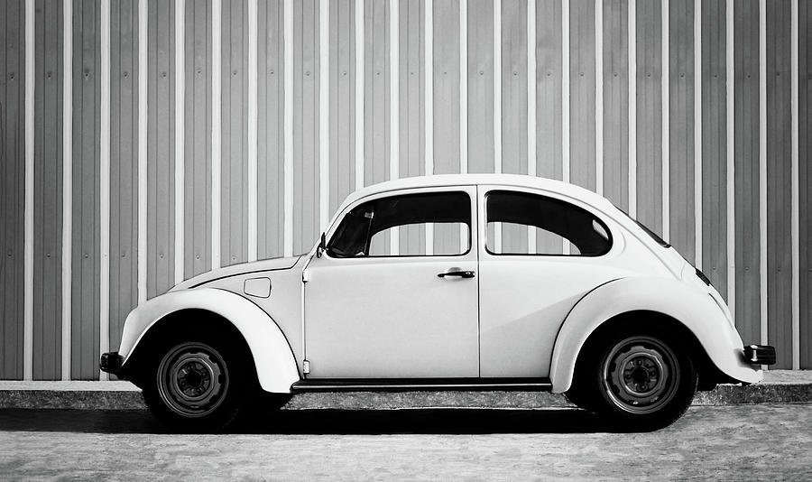 Beetle Black and White Photograph by Laura Fasulo
