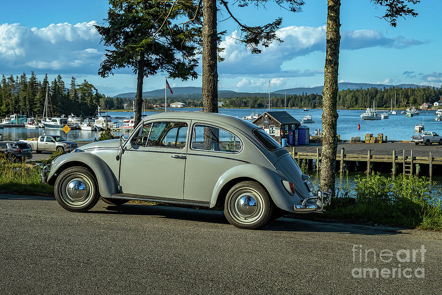 Beetle Bug Classic Car Photograph by Elizabeth Dow