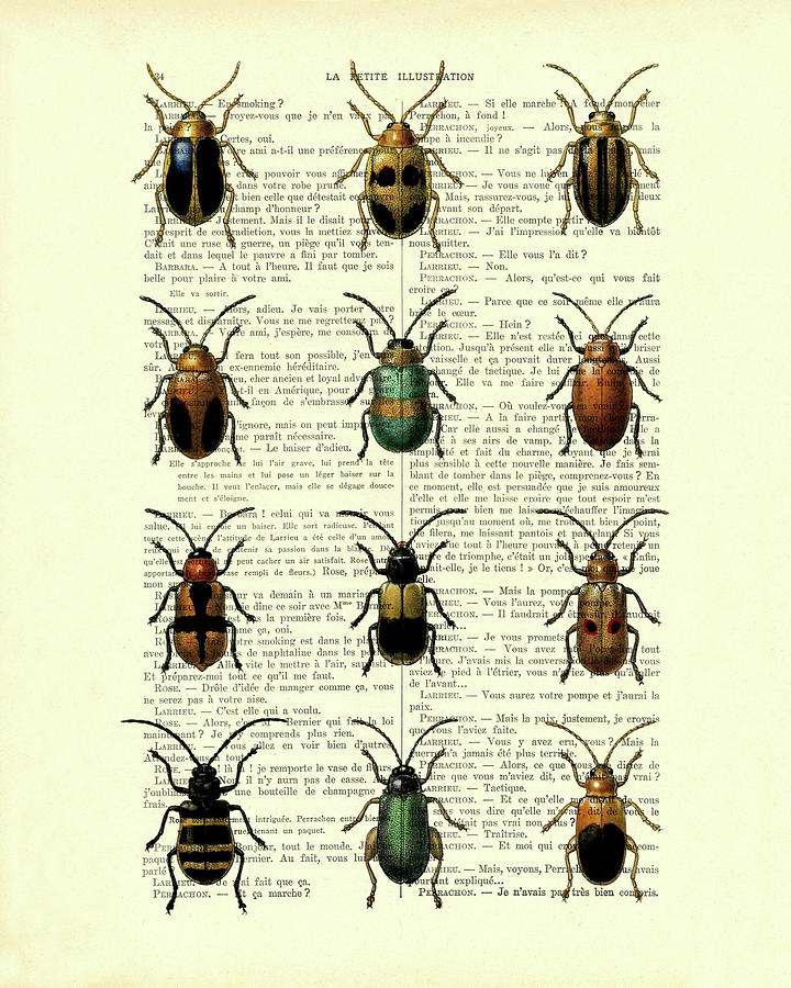 Insects Digital Art - Beetle collection on antique French book page by Madame Memento