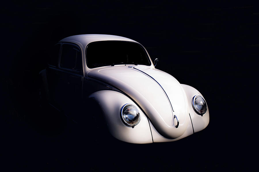 Beetle in the Shadows Photograph by Carl H Payne