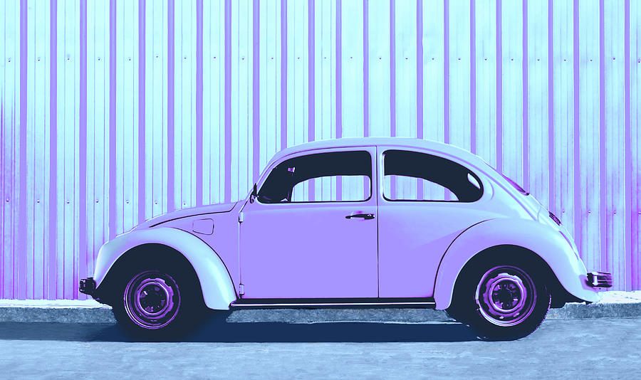 Beetle Pop Lavender Photograph by Laura Fasulo