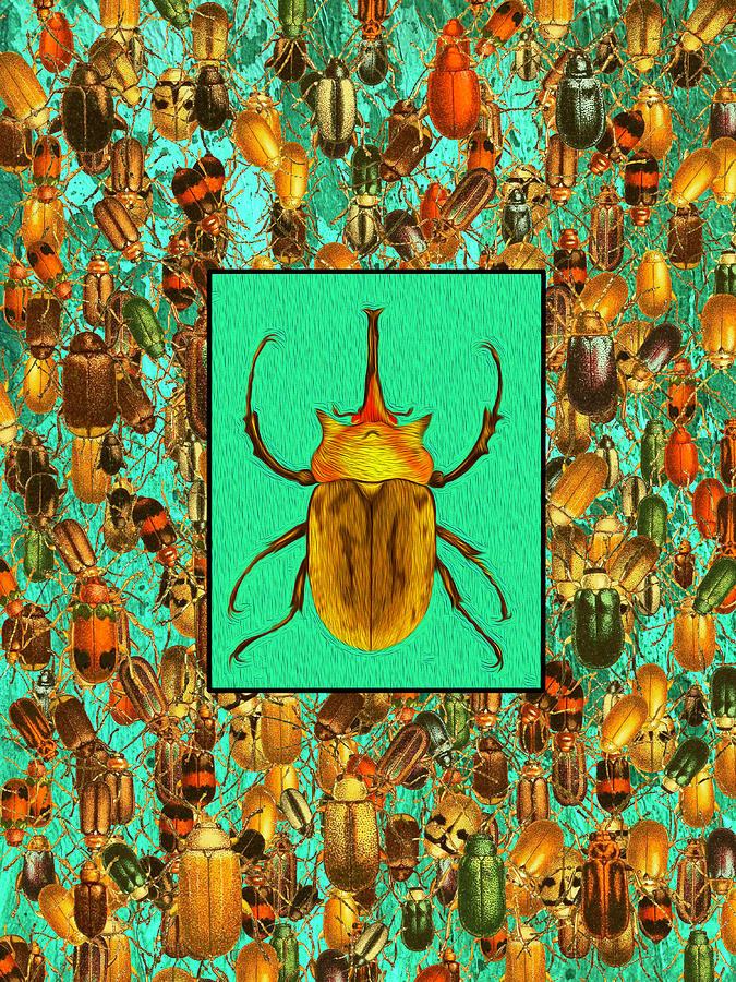 Beetle portrait Digital Art by Lorena Cassady