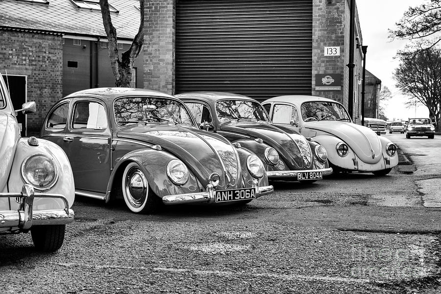 Beetles at Bicester Photograph by Tim Gainey