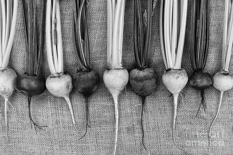 Beets Monochrome Photograph by Tim Gainey
