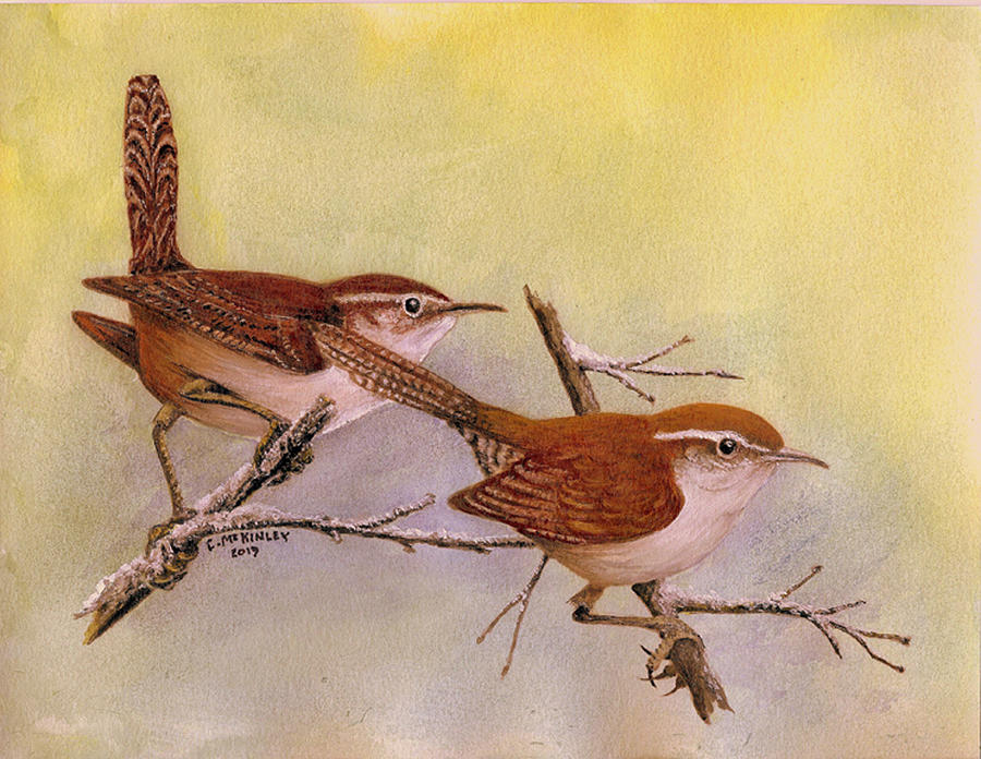 Beewicks Wrens Painting by Carl McKinley