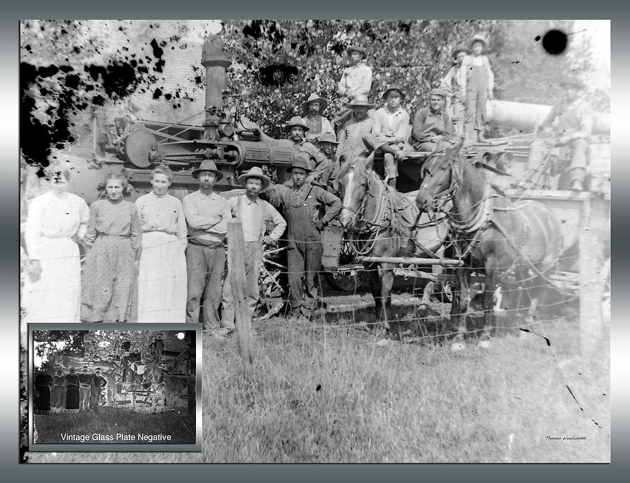 Before and After Group With Horses Vintage Glass Plate Negative Photograph by Thomas Woolworth