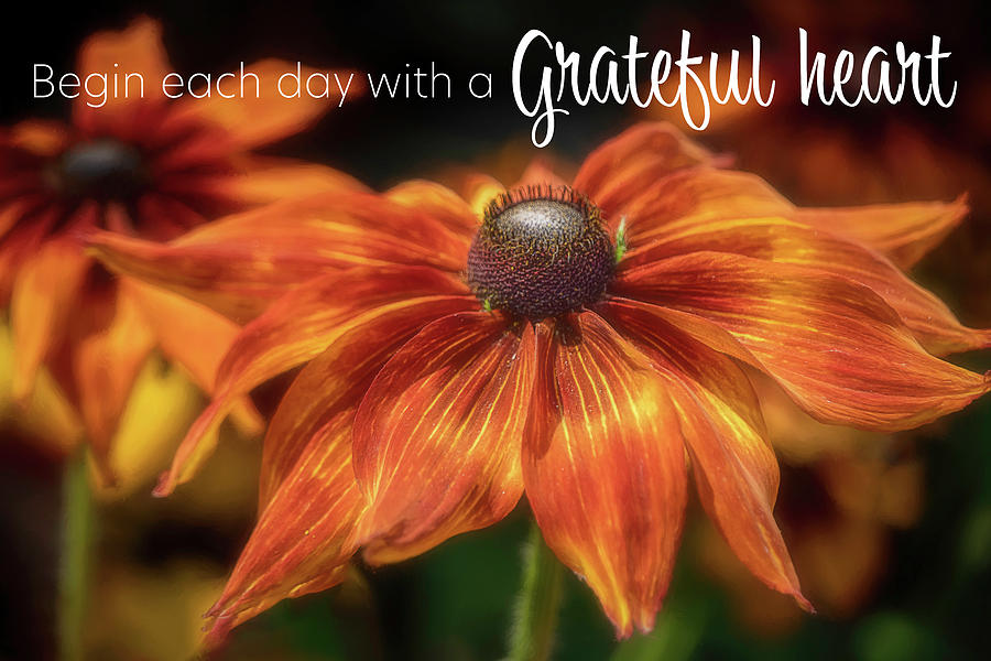 Begin Each Day With a Grateful Heart Photograph by Teresa Wilson