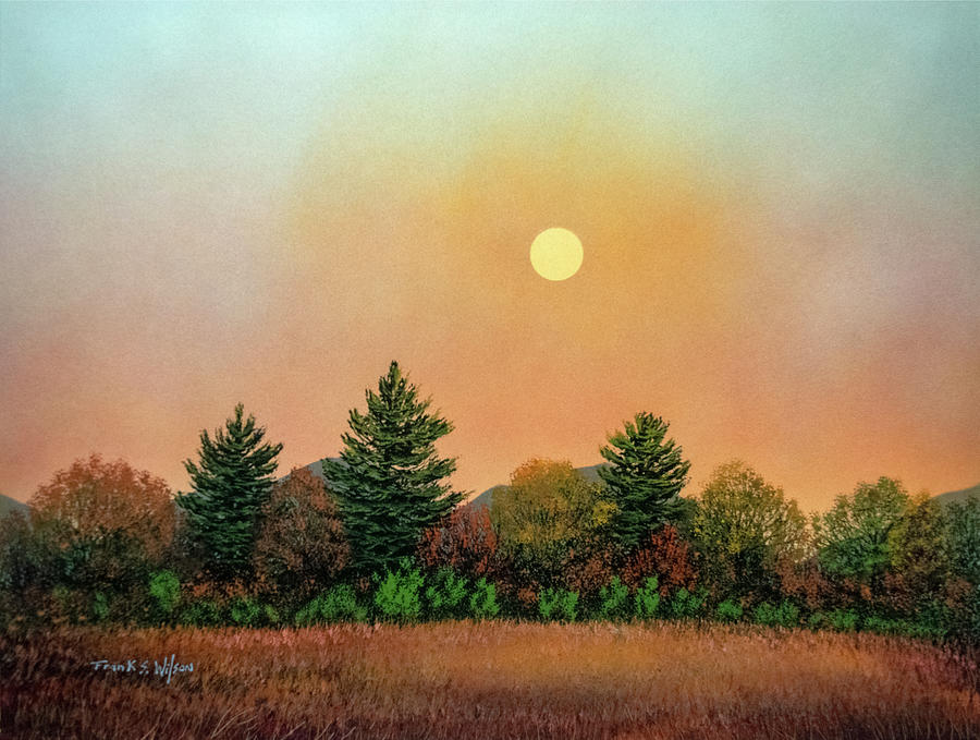 Beginning Light Painting by Frank Wilson