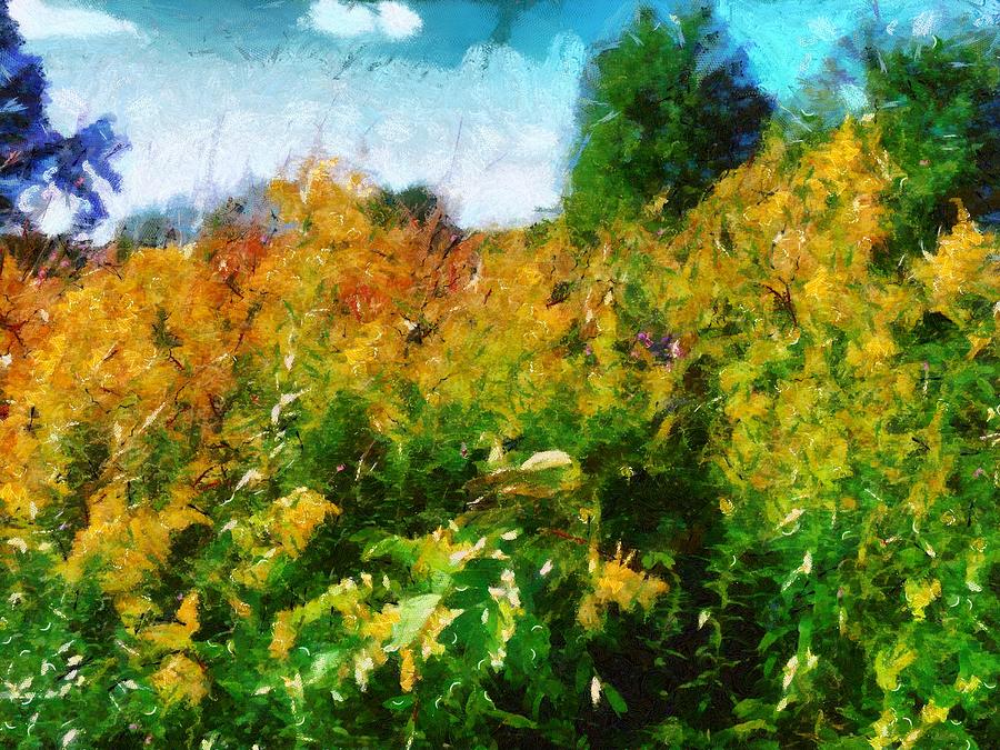 Beginning of Autumn Mixed Media by Christopher Reed
