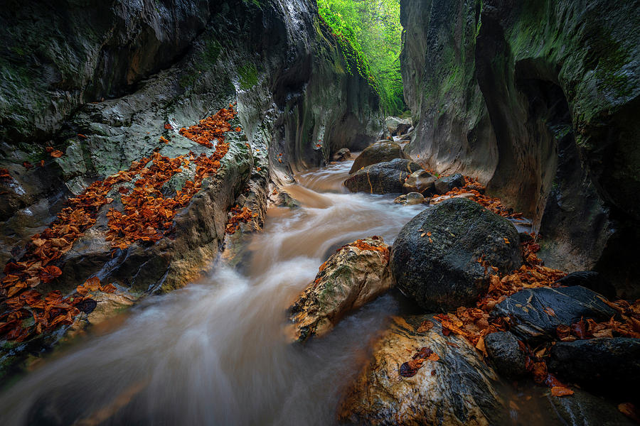 Beginning of autumn in the gorges Photograph by Cosmin Stan