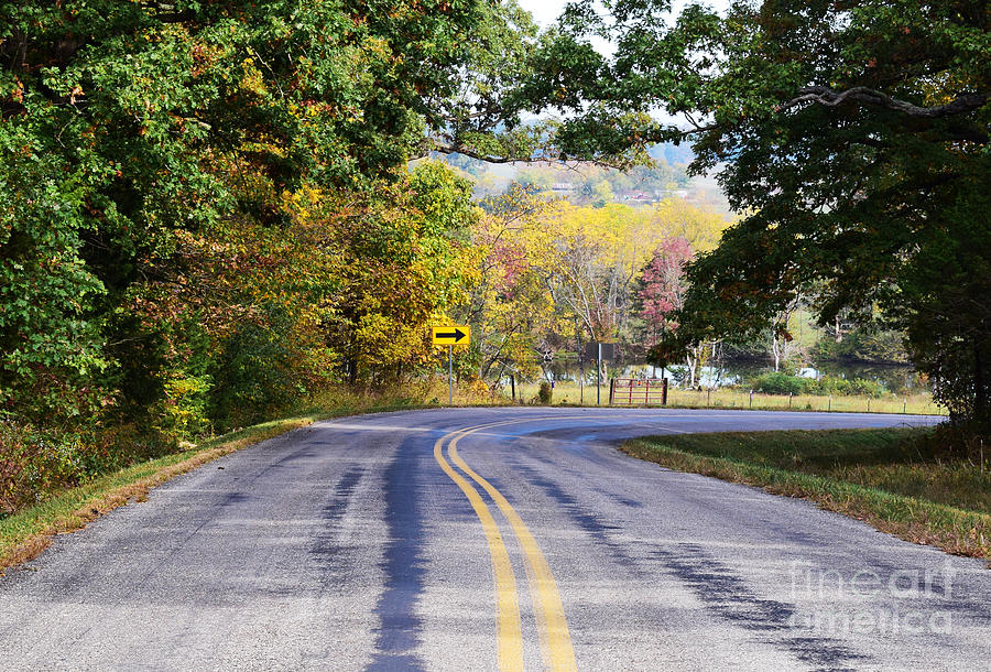 Beginning of Fall on Martingale Drive Photograph by Anita Streich