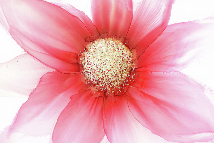 Flower Painting - Beginnings by Kimberly Deene Langlois