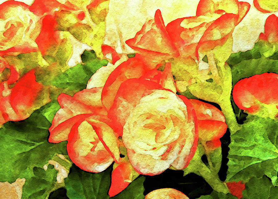 Begonia Beguiled Painting by Susan Maxwell Schmidt