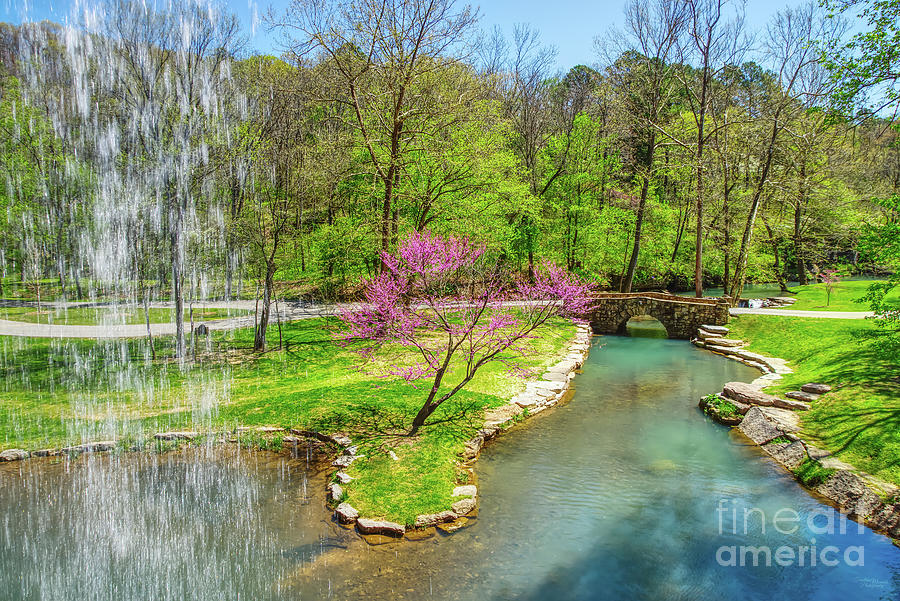 Behind An Ozarks Waterfall In Spring Photograph by Jennifer White