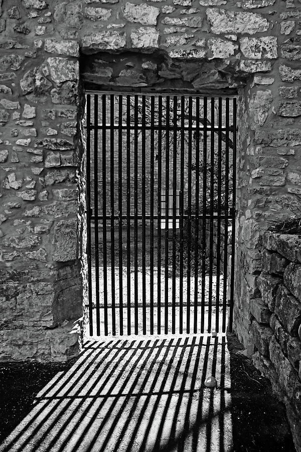 Behind Bars Black And White Photograph by Debbie Oppermann