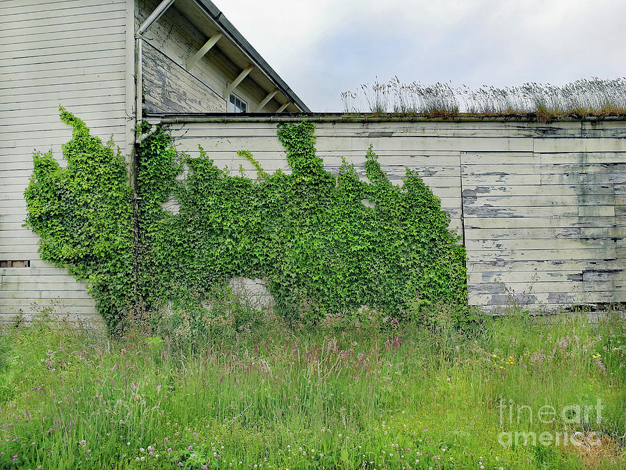 Behind City Lumber 2022 Photograph By Michael Ziegler Pixels