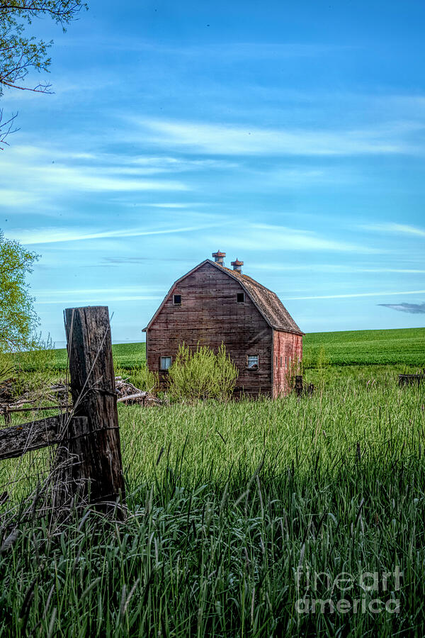 Behind The Barn Photograph by Pamela Dunn-Parrish - Fine Art America