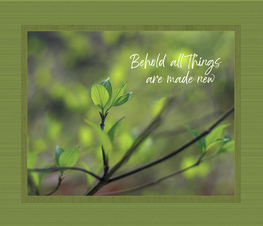 Behold all things new Photograph by Denise Beverly