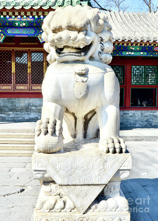 Beijing Chinese Guardian Dog Statue Photograph by Forward Cameras and Vintage Shop Prints - Fine ...