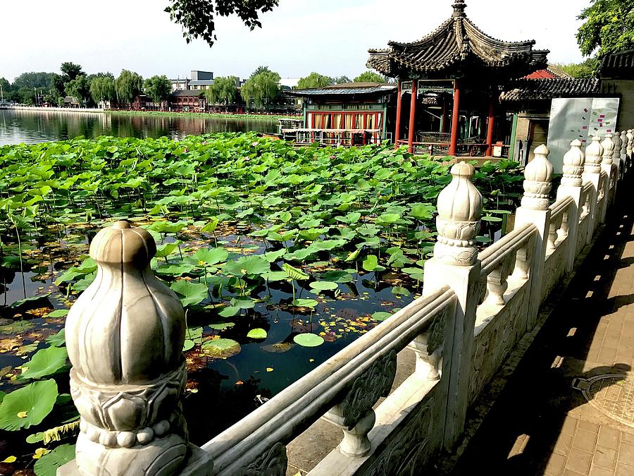 Beijing Lakefront Photograph