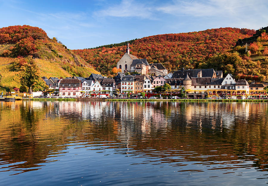 Beilstein resort town and Vineyards in Mosel wine valley at autumn, Rhineland-Palatinate, Germany. Photograph by Rusm
