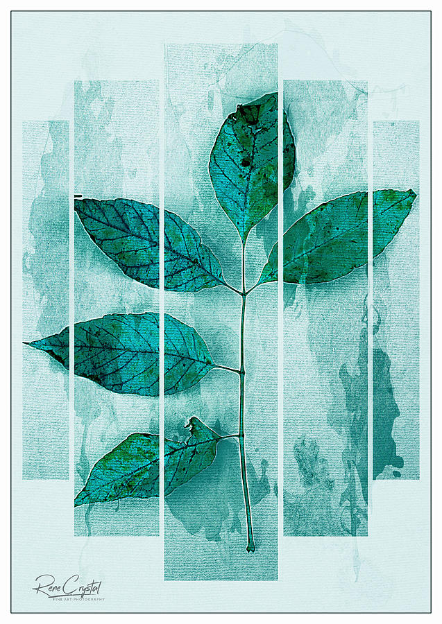 Being Different Is Beautiful, Too by Rene Crystal Being Different Is Beautiful, Too by Rene Crystal