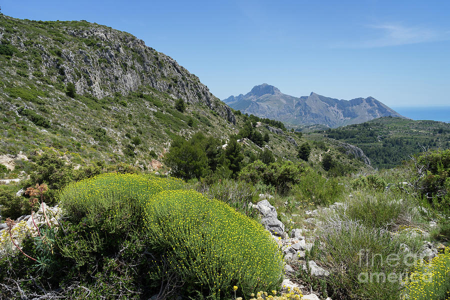 Green mountain landscape near the Mediterranean coast Photograph by Adriana Mueller