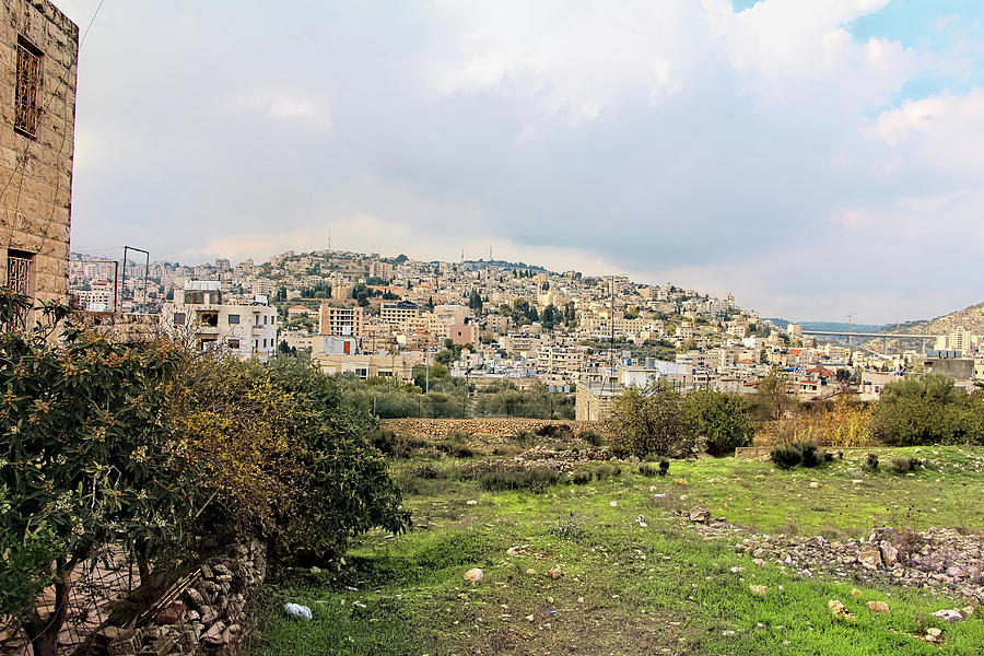 Beit Jala Field Photograph by Munir Alawi