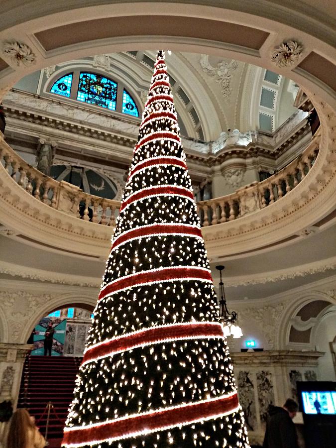 Belfast Christmas Tree Photograph by John Hughes Pixels