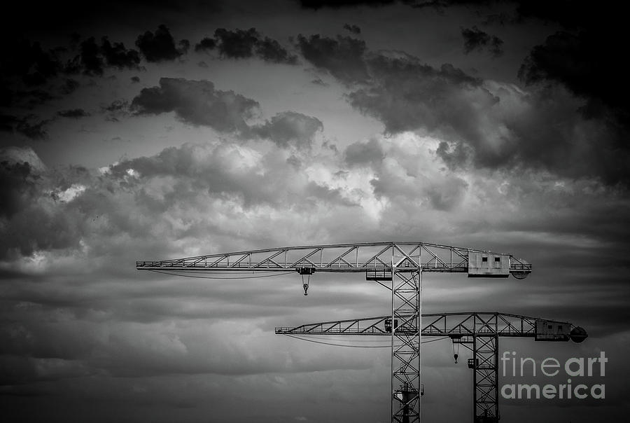 Belfast cranes Photograph by Jim Orr