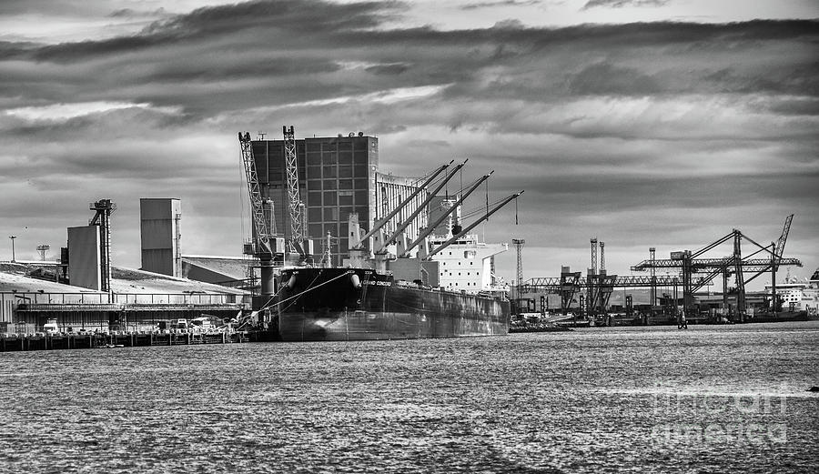 Belfast Docks Photograph by Jim Orr