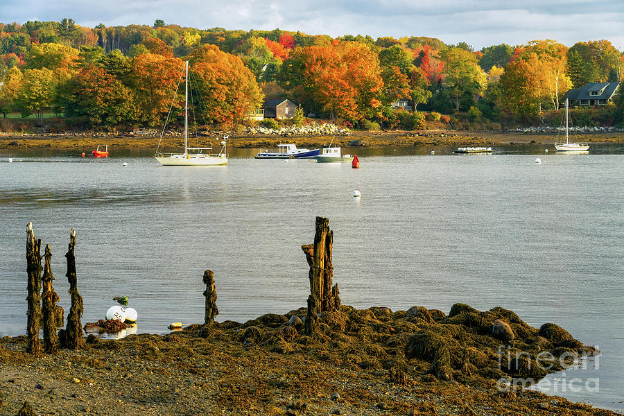 Belfast Maine Photograph by Roxie Crouch