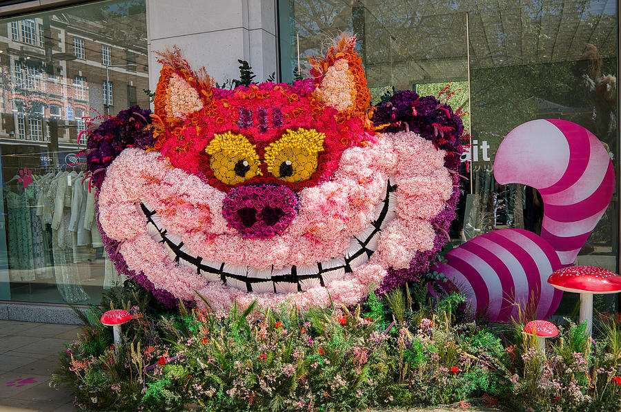 Belgravia in Bloom The Cheshire Cat Photograph by Raymond Hill
