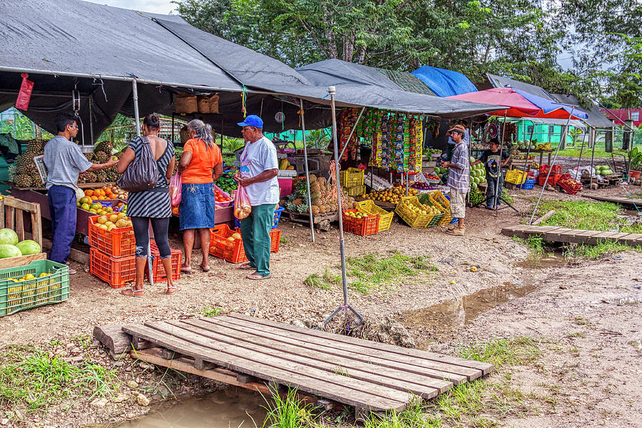 Belize roadside fruit stand Photograph by Tatiana Travelways